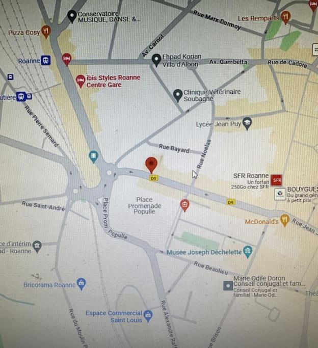 Апартаменты T2 En Rdc Calme Et Central 5Min A Pieds De La Gare Роан Экстерьер фото